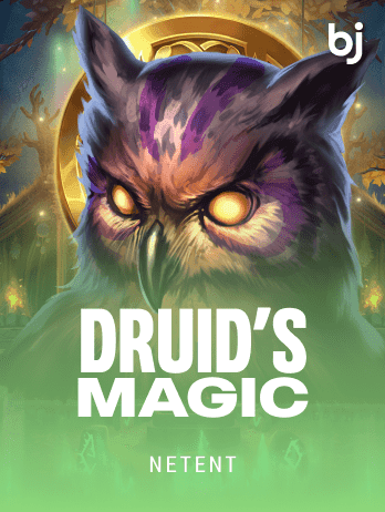 Druid’s Magic game cover